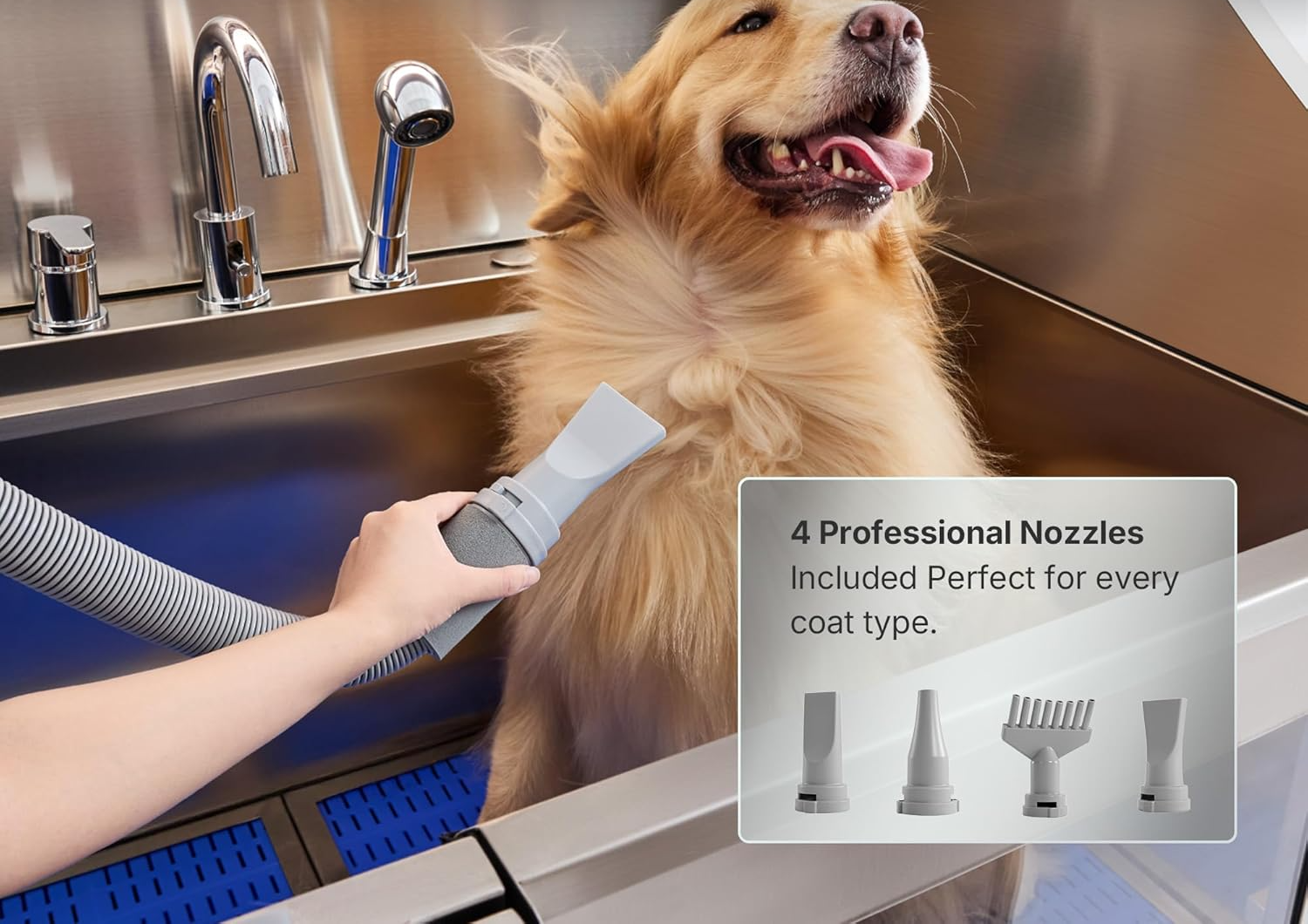 Golden retriever being dried with the built-in dryer; 4 professional nozzles included
